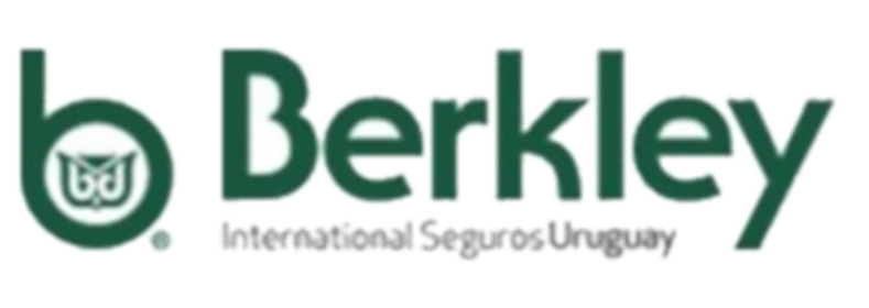 Berkley International Seguros